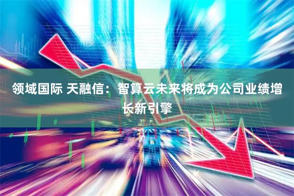 领域国际 天融信：智算云未来将成为公司业绩增长新引擎